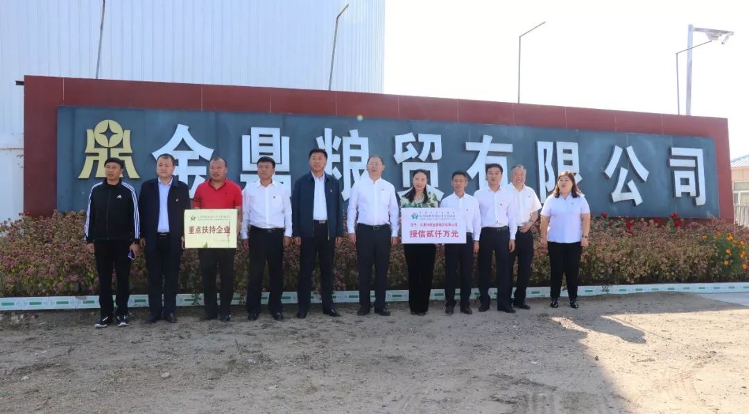 涿州今日新闻速递，高科技产品引领未来，科技魅力改变生活体验