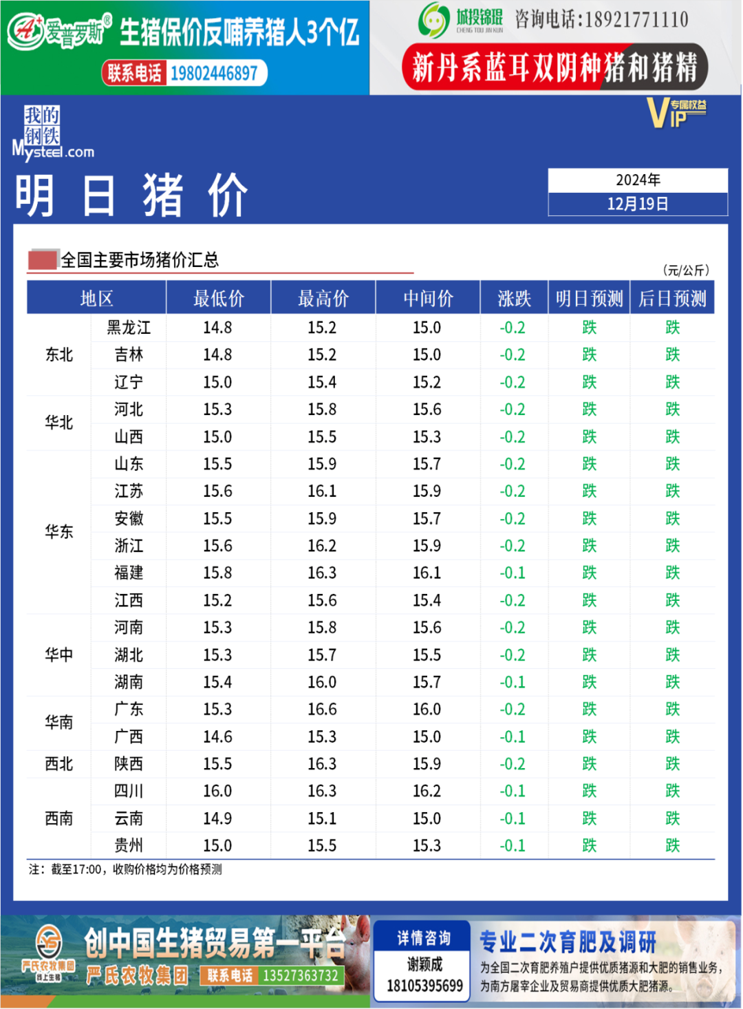 临朐生猪情缘，今日价格背后的温情故事与行情分析