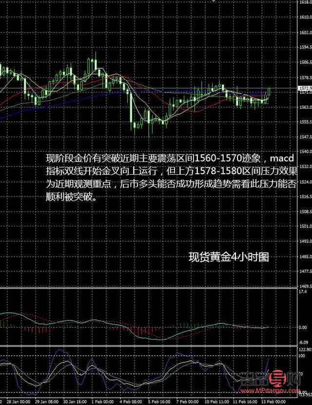 黄金市场动态分析与友情之旅的交织时刻