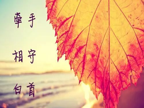 经典三行情书大全，无尽爱意的浓情密语