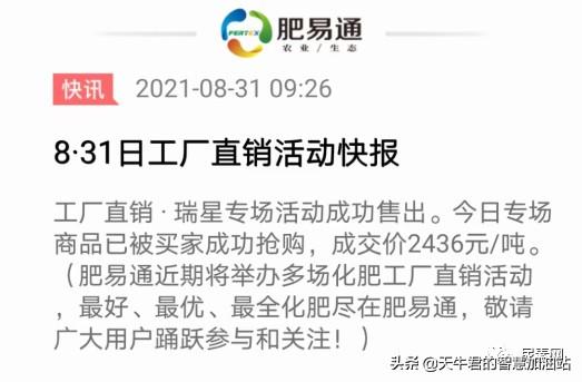 山东联盟尿素最新价格及指南