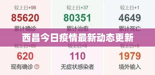 西昌肺炎最新动态，科技之光助力防护抗疫之路