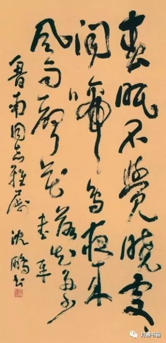 沈鹏最新日常，城市生活的温馨瞬间
